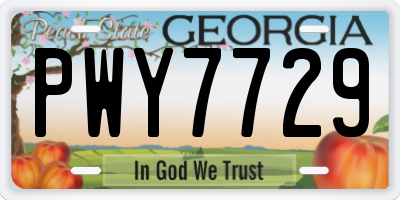 GA license plate PWY7729
