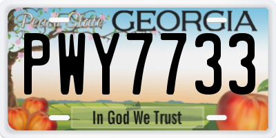 GA license plate PWY7733