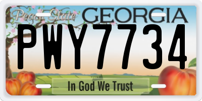 GA license plate PWY7734