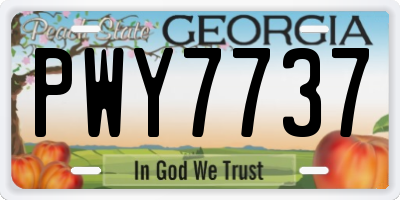 GA license plate PWY7737