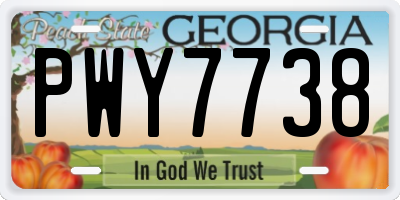 GA license plate PWY7738