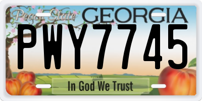GA license plate PWY7745