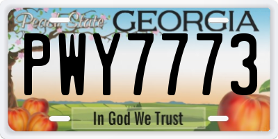 GA license plate PWY7773