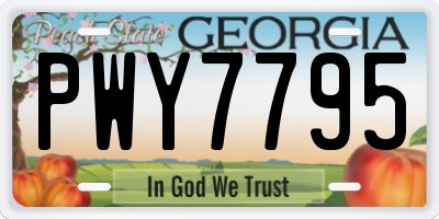 GA license plate PWY7795