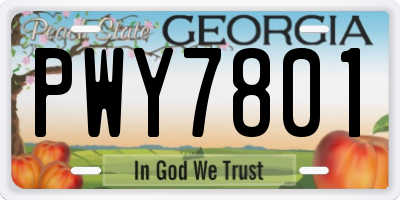 GA license plate PWY7801