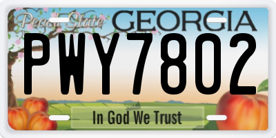 GA license plate PWY7802