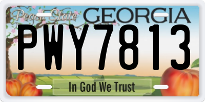 GA license plate PWY7813