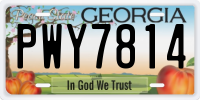 GA license plate PWY7814
