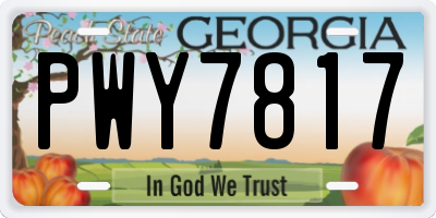 GA license plate PWY7817