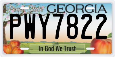 GA license plate PWY7822