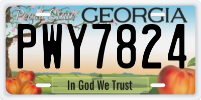 GA license plate PWY7824