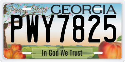 GA license plate PWY7825