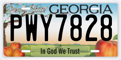 GA license plate PWY7828