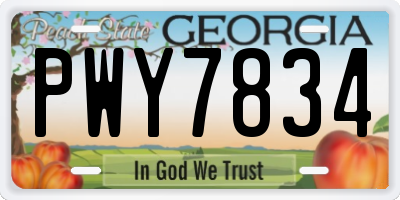 GA license plate PWY7834