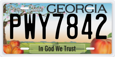 GA license plate PWY7842