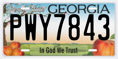 GA license plate PWY7843