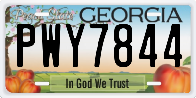 GA license plate PWY7844