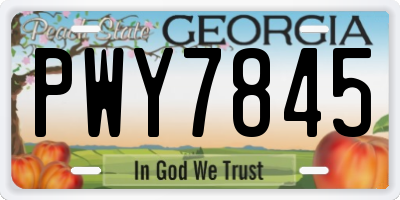 GA license plate PWY7845