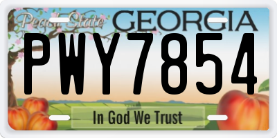 GA license plate PWY7854