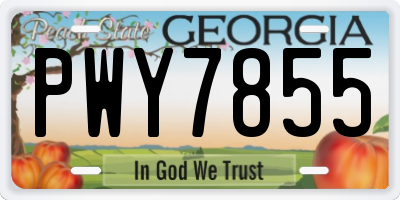 GA license plate PWY7855