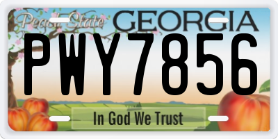 GA license plate PWY7856