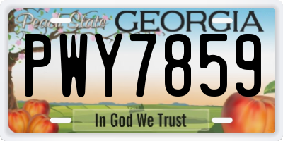 GA license plate PWY7859