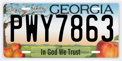 GA license plate PWY7863