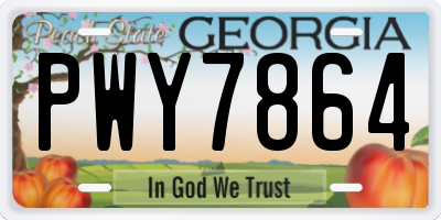 GA license plate PWY7864