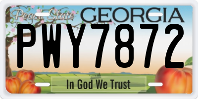 GA license plate PWY7872