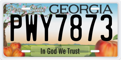GA license plate PWY7873