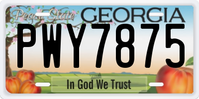 GA license plate PWY7875