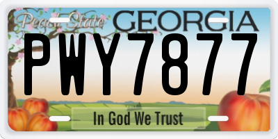 GA license plate PWY7877