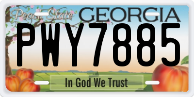 GA license plate PWY7885