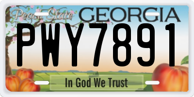 GA license plate PWY7891