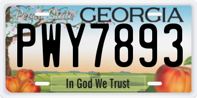 GA license plate PWY7893