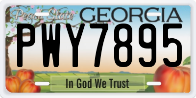 GA license plate PWY7895