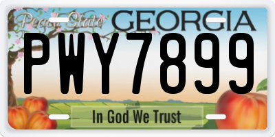 GA license plate PWY7899