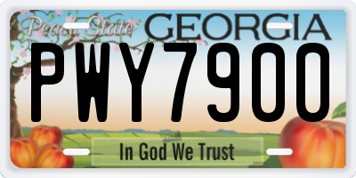 GA license plate PWY7900