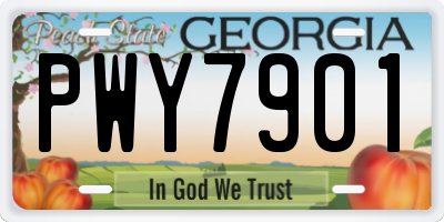 GA license plate PWY7901