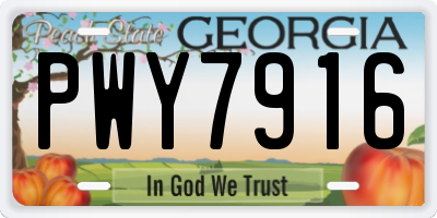 GA license plate PWY7916