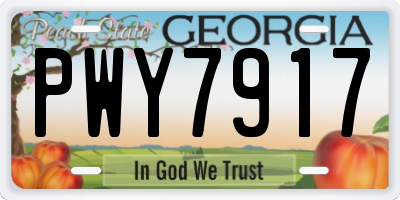GA license plate PWY7917