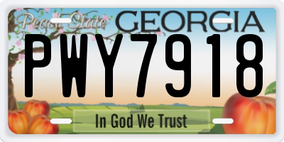 GA license plate PWY7918