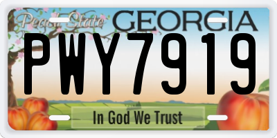GA license plate PWY7919