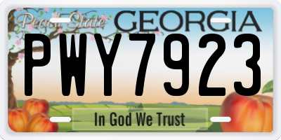 GA license plate PWY7923