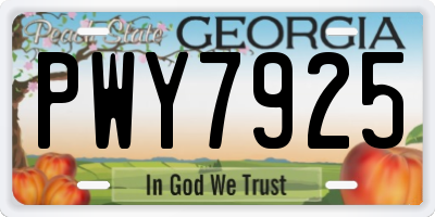 GA license plate PWY7925