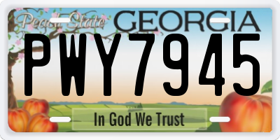 GA license plate PWY7945