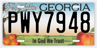 GA license plate PWY7948