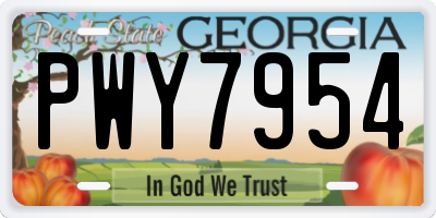 GA license plate PWY7954