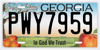 GA license plate PWY7959