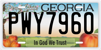 GA license plate PWY7960
